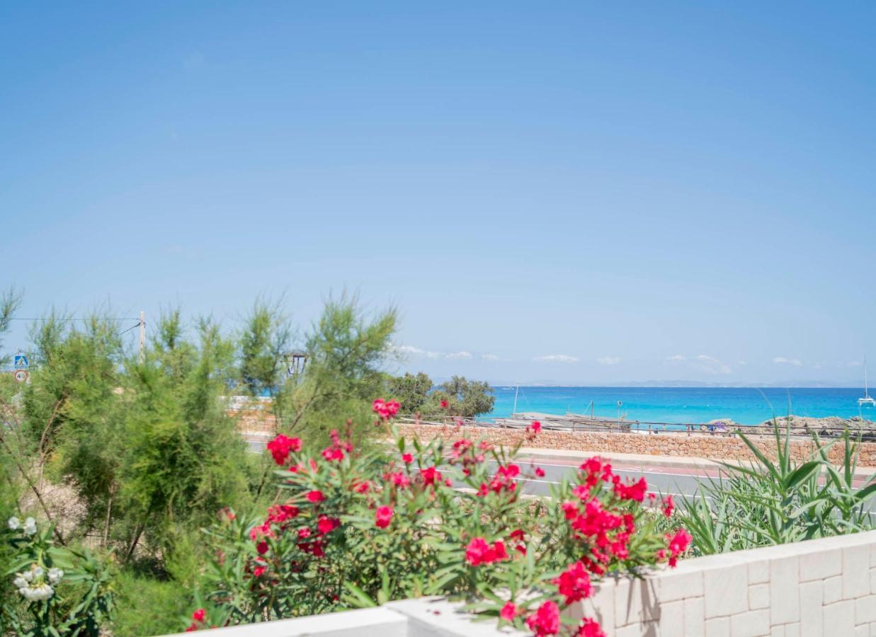 Cavall De Llevant - Formentera Break Es Caló Eksteriør bilde